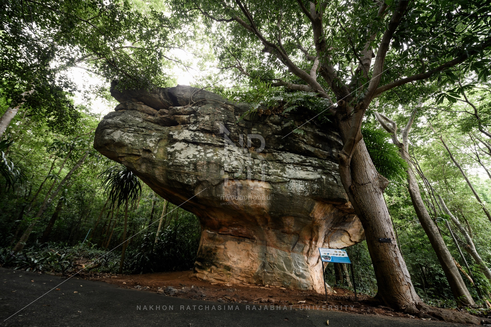 Wat Khao Chan Ngam in Sikhio District (10)