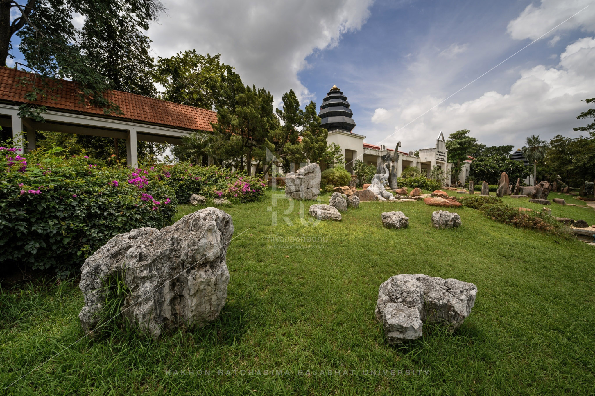 Research Institute of Petrified Wood in Mueang District (2)