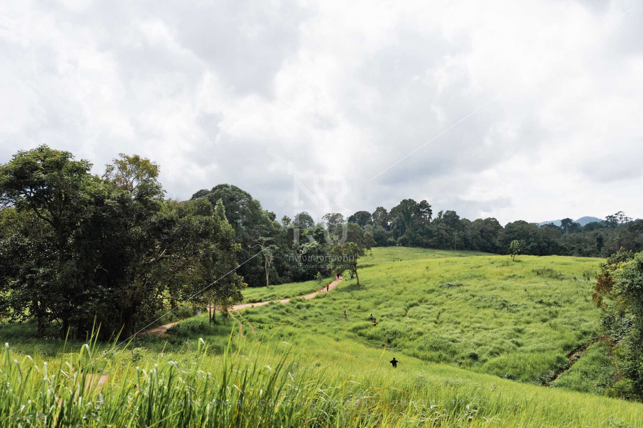 Khao Yai in Pak Chong District (9)