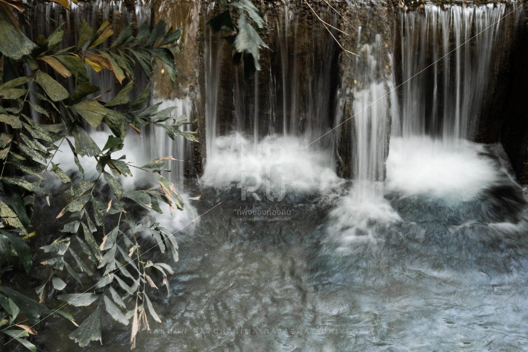 Nam Phut Spring in Pak Chong District (3)