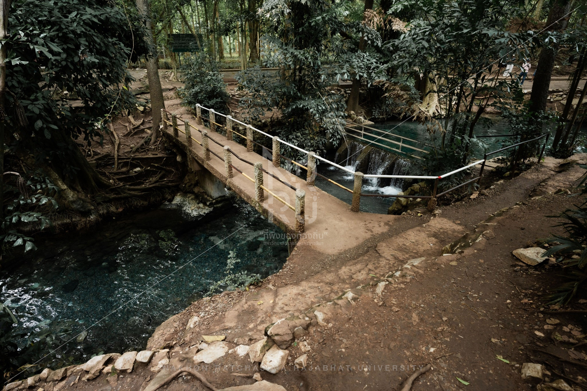 Nam Phut Spring in Pak Chong District (9)