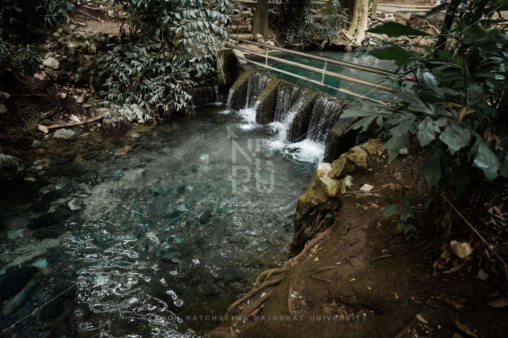 Nam Phut Spring in Pak Chong District (10)