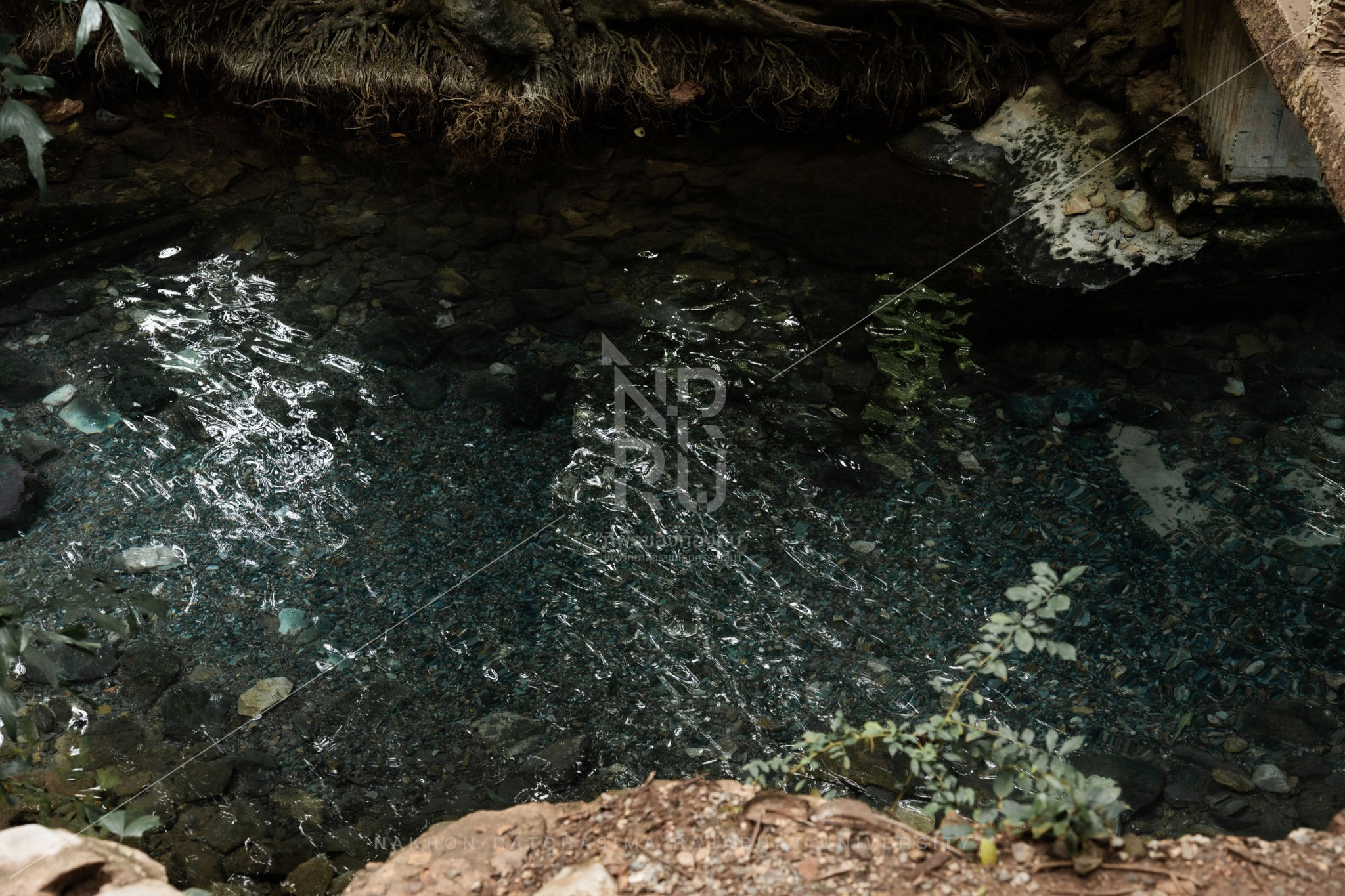 Nam Phut Spring in Pak Chong District (12)