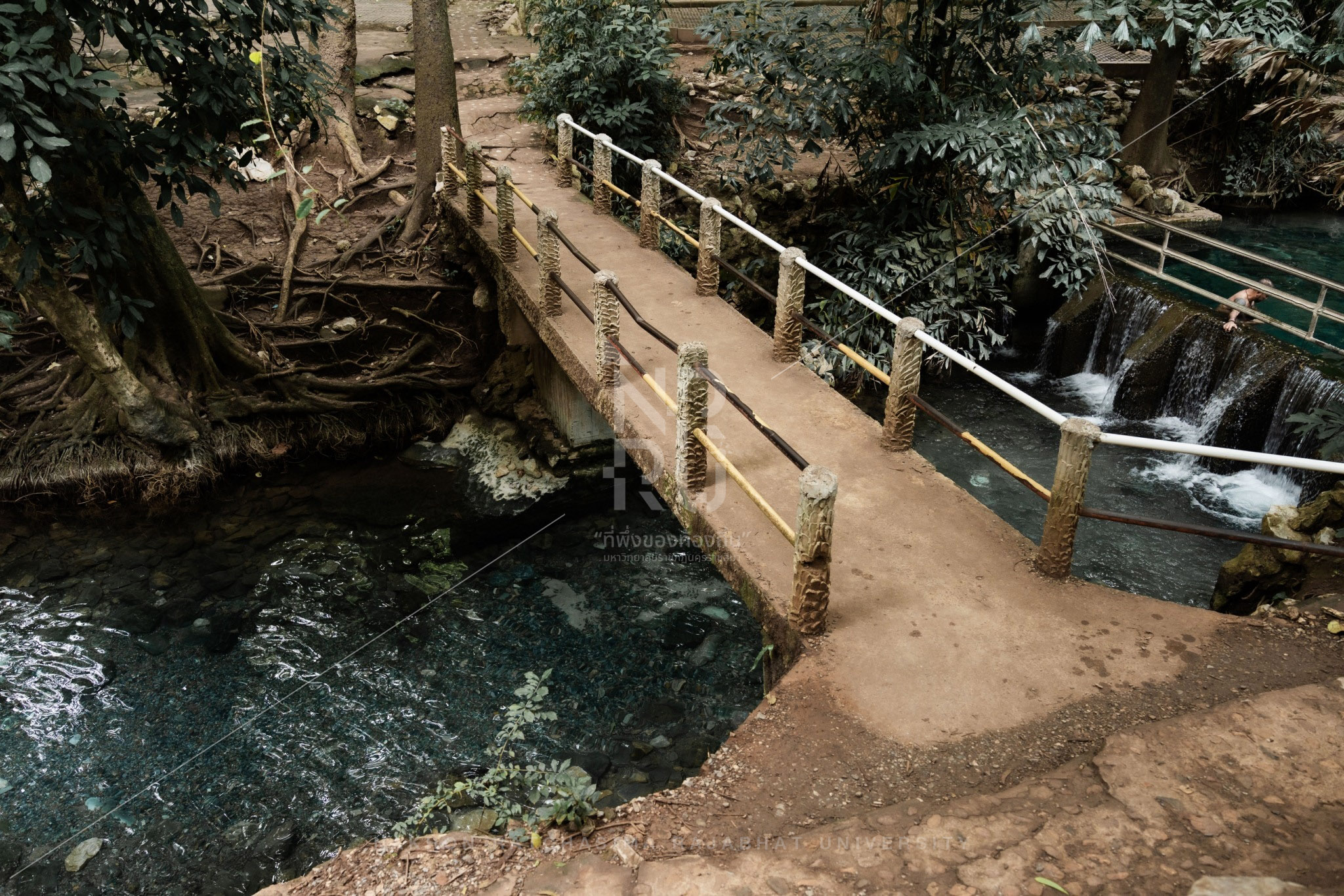 Nam Phut Spring in Pak Chong District (13)