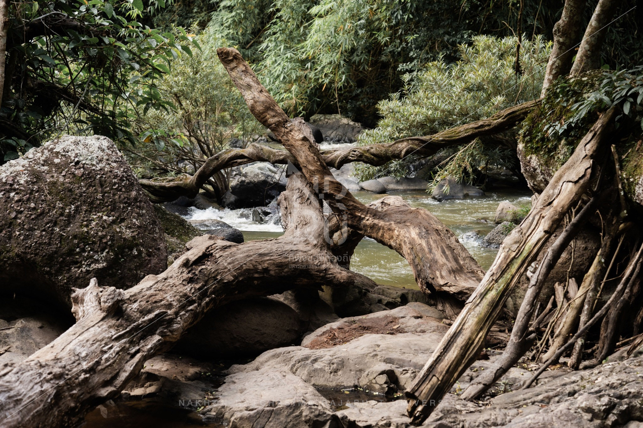 Haew Suwat Waterfall in Pak Chong District (4)