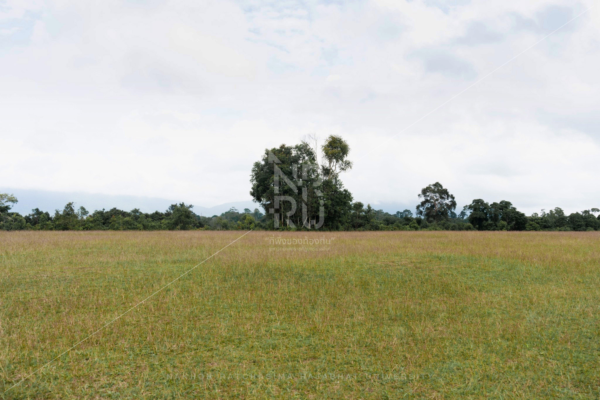 Khao Yai in Pak Chong District (5)