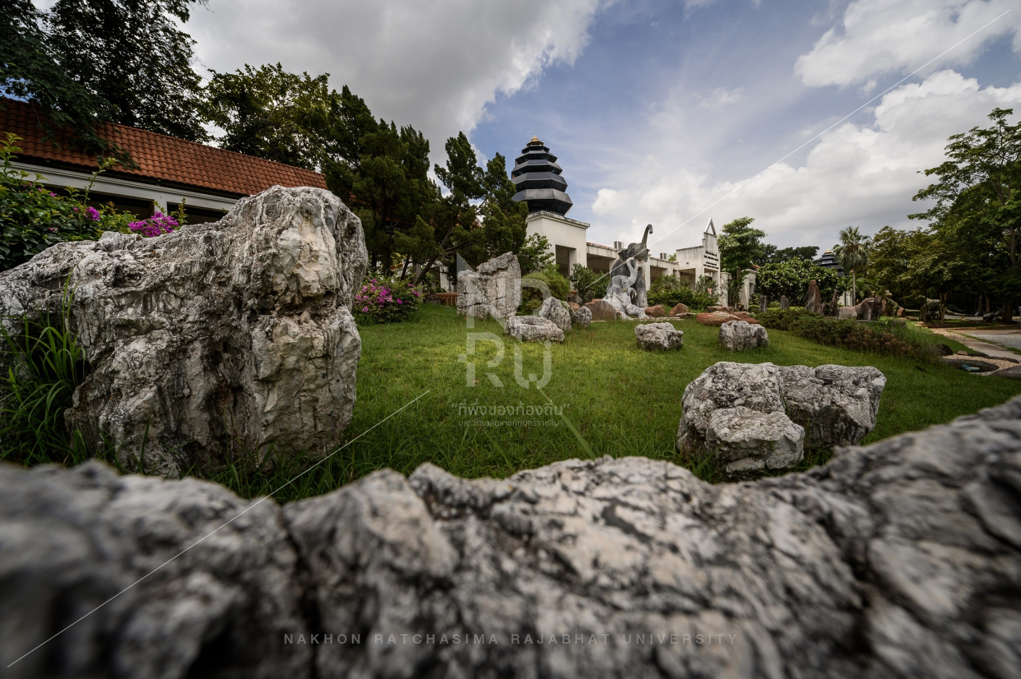 Research Institute of Petrified Wood  in Mueang District (1)
