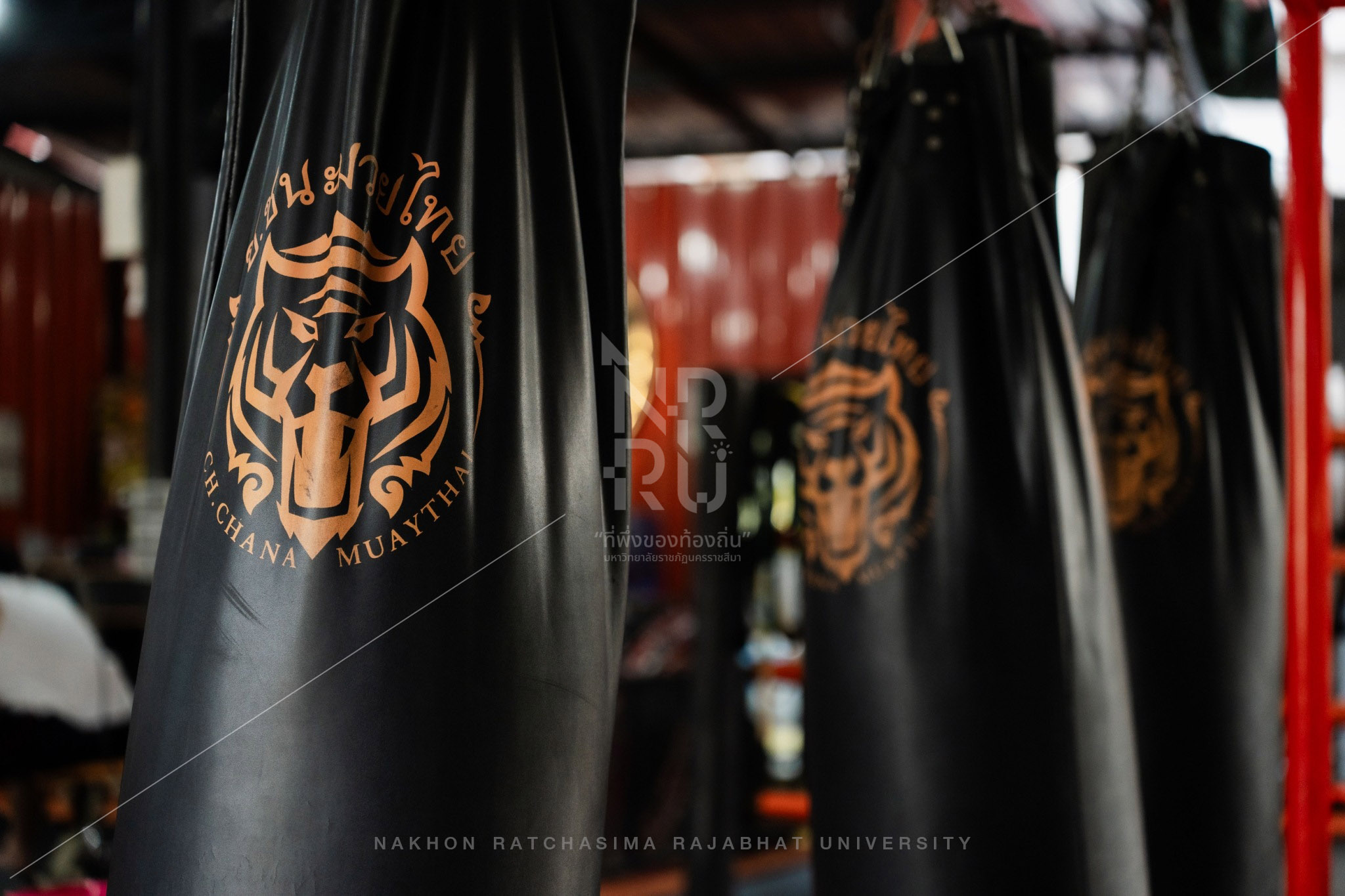 Muay Thai Camp in Mueang District (14)