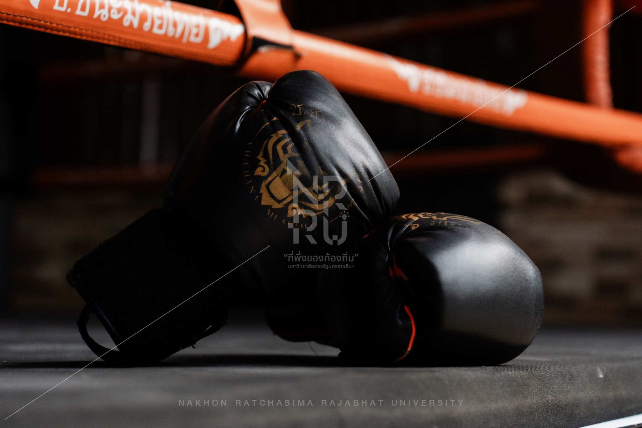 Muay Thai Camp in Mueang District (11)