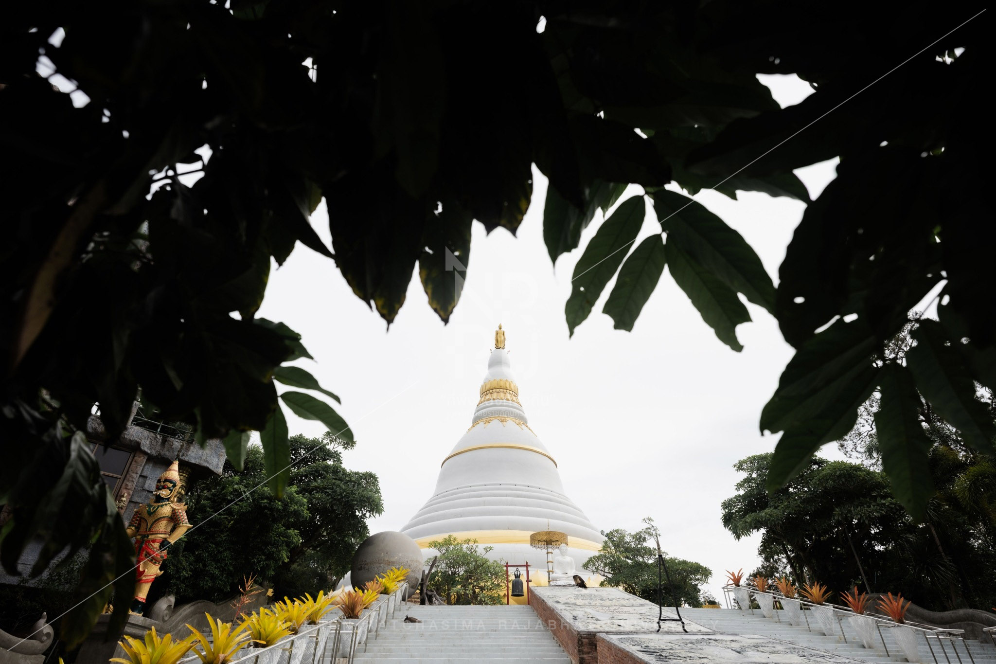 Wat Pa Phu Pha Suang in Sikhio District (2)