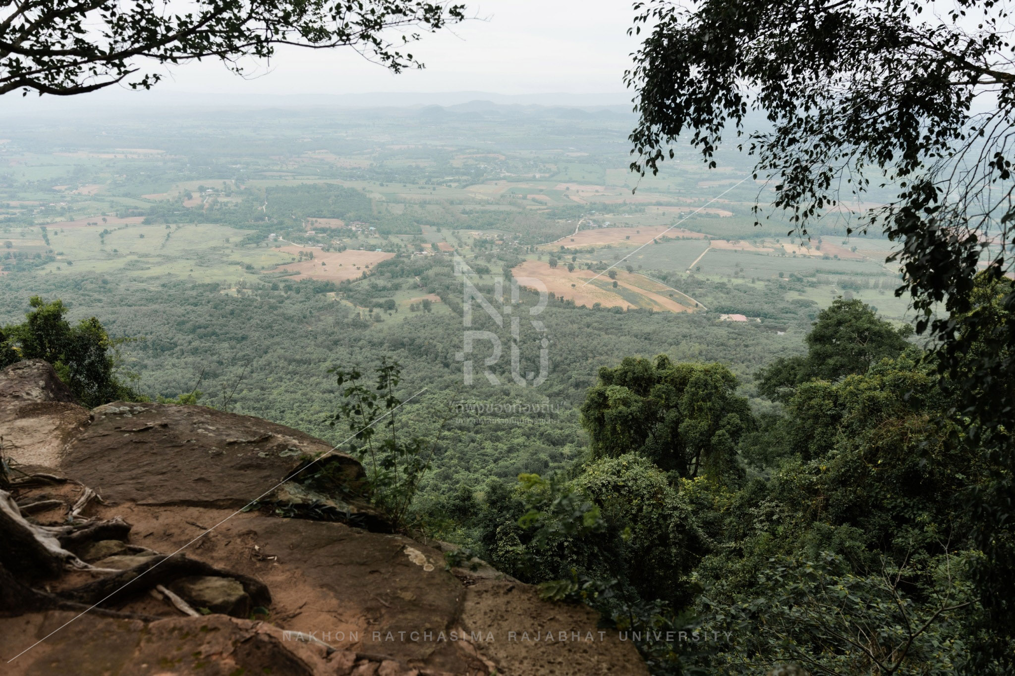 Wat Pa Phu Pha Suang in Sikhio District (6)