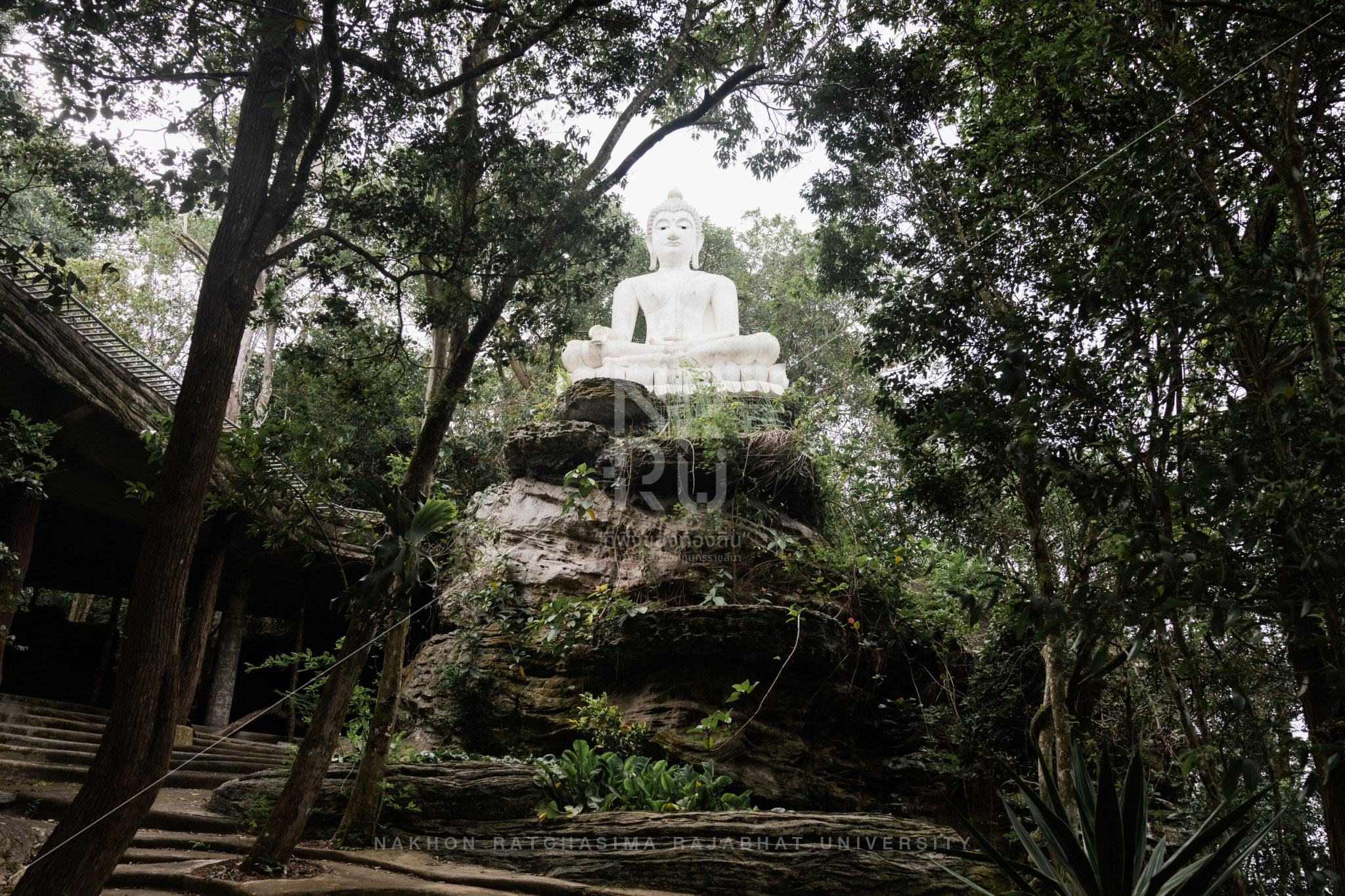 Wat Pa Phu Pha Suang in Sikhio District (5)